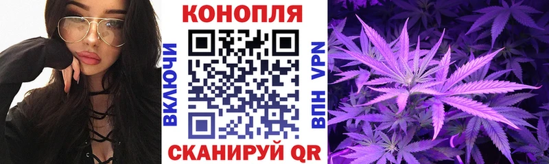 Гашиш Саки