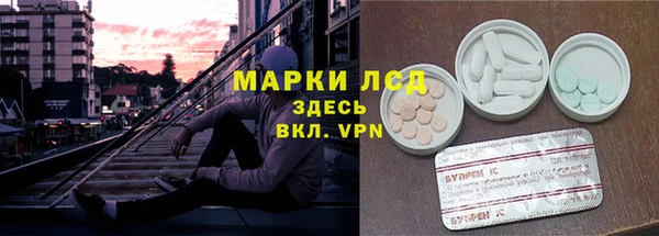 гашик Щигры