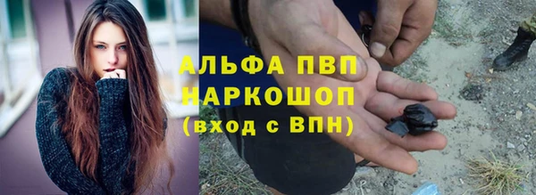 ГАЛЛЮЦИНОГЕННЫЕ ГРИБЫ Шали