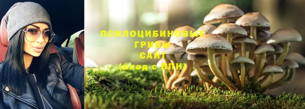 ГАЛЛЮЦИНОГЕННЫЕ ГРИБЫ Шали