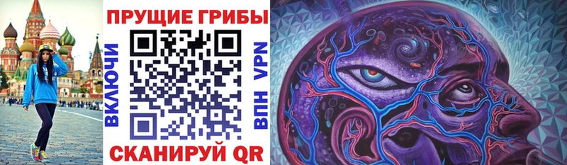 Галлюциногенные грибы Psilocybine cubensis  Купить где  Саки 
