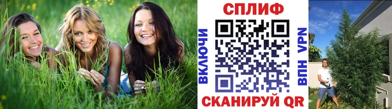 Купить закладки  Саки  Марихуана VHQ 